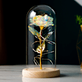 Miniatyrbild 4 av 7: Lysande Ros i Glaskupol, Symbol för Evig Kärlek Kristallklar Glaskupol, Batteriladdningsbar Gåva för Flera Tillfällen För Kvinnor Som Värdesätter Lyxiga Gåvor