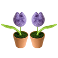 Miniatyrbillede 1 af 5: 2 potter med håndlavede plantearrangementer til hjemmet