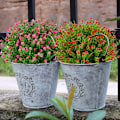 Miniatyrbillede 2 af 7: 12 Bundter Udendørs Kunstige Blomster, Ægte Berøringsfalsk Baby's Br