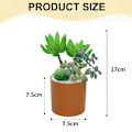 Miniatyrbilde 2 av 5: 2 stk. simulerte sukkulenter kombinasjon bonsai kreativ