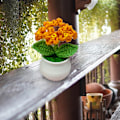 Miniatyrbillede 4 af 5: Håndlavede Hæklet Blomster i Karamel - Forglemmigej - Lille Blomsterpotte, Simulerede Kunstige Blomster - Små Dekorationer til Hjemmet, Kontoret eller Skrivebordet