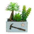 Miniatyrbillede 1 af 5: Trækurv simulering saftig kombination bonsai hjem
