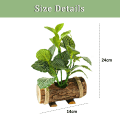 Miniatyrbilde 2 av 5: Kreative trepotter, simulering av grønne planter, bonsai
