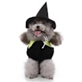 Miniatyrbillede 5 af 6: 1 Stk Halloween Personligt Kostume til Dit Kæledyr Sort og Grøn