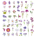 Miniatyrbillede 7 af 7: 100 stk Naturlige Blomsterklistermærker til Scrapbooking Retro Kunst