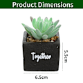 Miniatyrbillede 2 af 5: 2 stk. kunstige sukkulenter firkantet cementbassin bonsai simulering