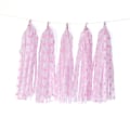 Pikkukuva 1 / 6: 30 kpl Paper Tassel Banner - Piste Tassel Garland