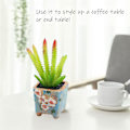 Miniatyrbild 3 av 5: Simulerade suckulenter bonsai kreativa prydnader blomma matsal