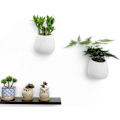 Miniatyrbild 3 av 7: Minimalistisk Design Keramiska Väggkrukor För Hemmakontor, Högglansig Finish, Utan Dräneringshål, Multifunktionell Kruka För Luftväxter, Krukväxter