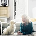 Miniatyrbillede 4 af 5: Hunde Dørklokke Træning Potte Hunde Klokker Justerbar Dørklokke, 7 Ekstra Store Højlydte Dørklokker Til Dørgreb, Hus Træning Med Fløjte Og Klikker
