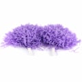 Pikkukuva 2 / 8: Kannustuspomsut Urheilutanssi Pallojuhlatarvikkeet (violetti)