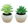 Miniatyrbillede 1 af 5: 2 stk. kunstige planter sukkulenter pottet kreativ indendørs lille