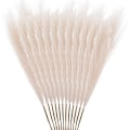 Pikkukuva 1 / 7: 12 kpl Tekokukka-pampasruohoa  Keinotekoinen Pompous Grass Fake Pompass