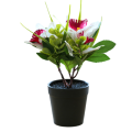 Pikkukuva 1 / 5: Tekokukka kolmipäinen cymbidium pieni bonsai luova