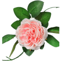 Miniatyrbillede 3 af 7: 3 Stykker Kunstige Blomst Ranke 2M Silke Rose Peony Kunstig Blomst