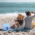 Miniatyrbilde 5 av 5: Strandvinpose - blå rombe + fôr