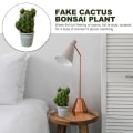 Miniatyrbillede 3 af 5: Tropiske plante potteplanter med potter kreative ornamenter
