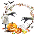 Pikkukuva 1 / 7: 3 sarjaa Halloween-aiheisia nurmikon renkaita, haamu käsiä ja kurpitsaa kotiin