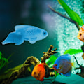 Miniatyrbillede 7 af 8: Silikon Kunstig Fisk Akvarium Dekoration Høj Simulation