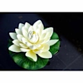 Miniatyrbillede 5 af 7: 6 stk. Kunstige Flydende Skum Lotusblomster, med Vandlilje Pad
