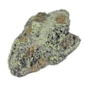 Miniatyrbilde 4 av 5: Fisk Skjuleskuler i Harpiks, Fadebest, Levende, Komfortabel Akvarium Dekorasjon for Reptiler GS0927