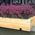 Miniatyrbillede 2 af 5: Kunstige Lavendelblomster Planter 8 Stykker, Livagtige UV-resistente Falske Buske Grønne Buske Buket Fushia 24