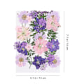Miniatyrbillede 2 af 2: 27 stk./sæt Pressede Blomster Tørrede Blomster DIY Scrapbooking Blomst til Hjem Bryllup