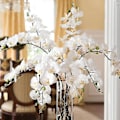 Pikkukuva 3 / 5: 1 kpl Silkkiperhosorkidea Keinotekoiset kukkakimppu Real Touch Phalaenopsis Tekokukat Ruusu Lavender 5