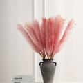 Miniatyrbillede 5 af 11: 4-pak 80 cm Fluffy Pampasgræs Kunstig Pampas Bordvase Dekoration Stor Tørret Blomsterbuket H White 4 Pcs