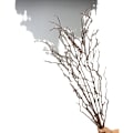 Miniatyrbild 5 av 6: Konstgjorda molndrakevidegrenar för heminredning, bröllopsblomsterarrangemang coffee