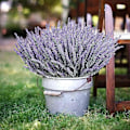 Miniatyrbillede 2 af 5: Kunstige Lavendelblomster Planter 8 Stykker, Livagtige UV-resistente Falske Buske Grønne Buske Buket Lavender 6
