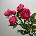 Miniatyrbild 4 av 6: Konstgjorda pionblommor Falska pioner Heminredning Bröllopsrekvisita Trippelpion Light pink