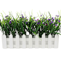 Miniatyrbillede 1 af 4: Bryllupsscene layout fuld af stjerneklare kunstige blomster hegn sæt lille potteplante veranda display dekorative kunstige blomster børnehave udendørs Stlye 1