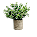 Miniatyrbillede 1 af 5: Kunstige planter med blomsterpotter, små blomsterpotter, kontor desktop dekoration, falske planter, hjemmekontor, indretning (DS512)