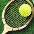 Miniatyrbilde 2 av 5: Tennisballer Sport Utendørs Cricket Strand Hundeleke Spill Godt Spret