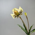 Miniatyrbilde 1 av 6: Simulert Paphiopedilum PVC Føles Ekte Kunstig Blomst Hjemmeinnredning 2-Hodet med Blader Orkidé Myk Dekor Green Elf