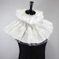 Miniatyrbilde 2 av 4: Dame falsk krage Klovn Mesh Svane Krage Ralph Krage Retro White