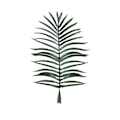 Miniatyrbillede 2 af 5: Simulerede kokosnøddeblade frugttræer palme botaniske haver spredte blade museum potteplanter kokospalmer falske solsikke blade Kunstig Flora 1.4m
