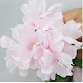 Miniatyrbillede 3 af 5: 2 Pakker Kunstige Kirsebæranke Blomster Plante Kunstig Efeu Hængende Grønt Blad Silke Guirlande Bryllupskunst Dekor (blå) Pink