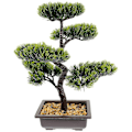 Miniatyrbild 3 av 3: Konstgjord Bonsai Tall Faux Krukväxt Skrivbordsdisplay Falskt Träd Kruka Ornament