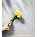 Miniatyrbillede 1 af 6: Blød Gummi Hortensia Frugt Sensorisk Blomkål Boligindretning Blomsterkunst Milan Rekvisitter Kunstige Blomster yellow