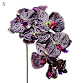 Miniatyrbilde 1 av 5: 1 stk. Kunstig Blomst Sommerfuglorkidé Livaktig Hage DIY Fest Bryllupsdekor 3