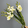 Pikkukuva 6 / 6: 4 KPL HEPA-suodatin Puuvillasuodatin Pölynimurin Vaihto 90304 90350 90333 LB650 QPL Spa -malleille