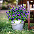 Miniatyrbillede 2 af 5: Kunstige Blomster, Falske UV-resistente Buksbom Buske Faux Plastik Grønne Planter Purple 24