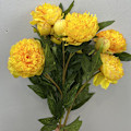 Miniatyrbild 1 av 6: Konstgjorda pionblommor Falska pioner Heminredning Bröllopsrekvisita Trippelpion yellow