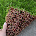 Miniatyrbilde 6 av 8: Toglandskap Layout Kunstig Plante Matte Simulering Mose Landskapsmodell Hjem Dekor DIY Matches the image 30x30cm