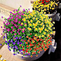 Miniatyrbillede 3 af 5: 6 stk. Kunstig Blomst Levende Ikke-falmende Plast Multifunktionel Falsk Blomstergræs til Hjemmet Pink