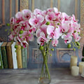 Pikkukuva 2 / 5: 1 kpl Silkkiperhosorkidea Keinotekoiset kukkakimppu Real Touch Phalaenopsis Tekokukat Ruusu Vanilla Spike 6