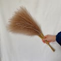 Miniatyrbild 8 av 11: 55CM 5/10/20ST Fluffig Pampasgräs Boho Dekor Blomma Falsk Växt Vass Simulerad Bröllopsfest Hem D Matches the image 20PCS