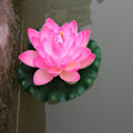 Miniatyrbillede 8 af 11: Flydende Kunstig Lotus Simulation Lotus Vandplanter Falsk Åkande til Have Dam Terrasse Dekoration Peach